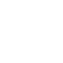 SBOCCIO
